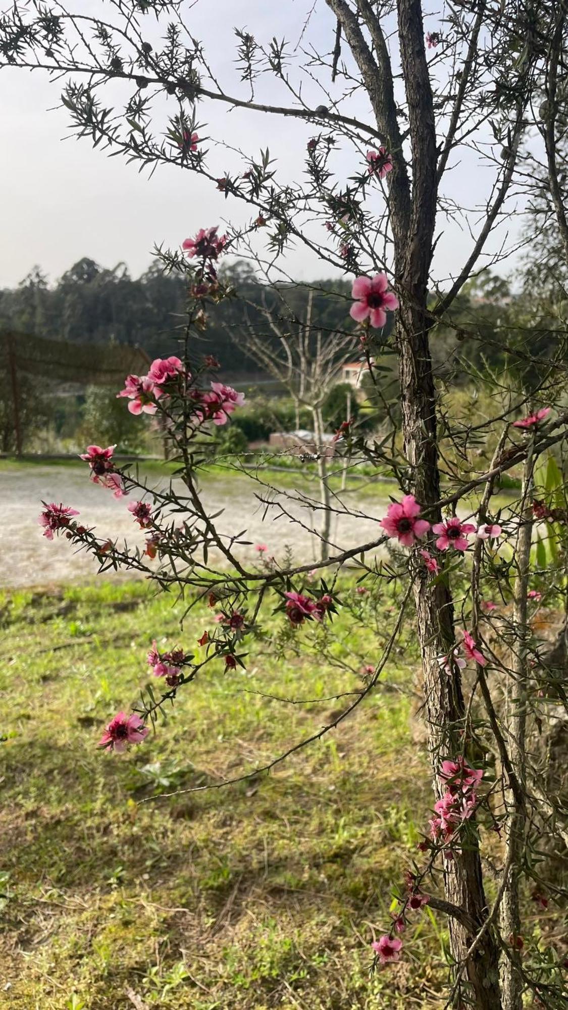 Quinta De Villasete Alpendurada Экстерьер фото