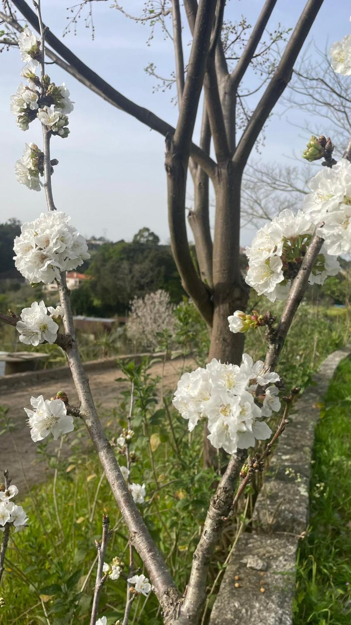 Quinta De Villasete Alpendurada Экстерьер фото