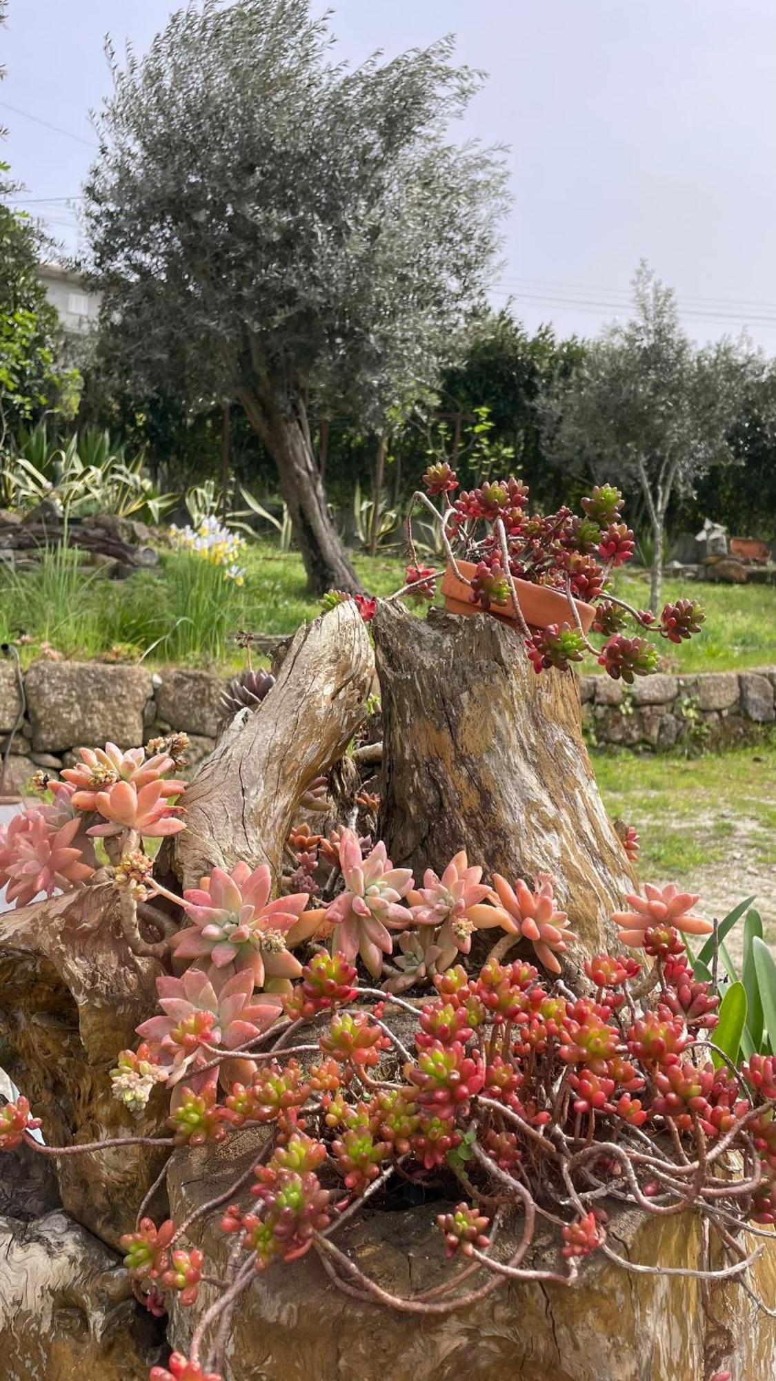 Quinta De Villasete Alpendurada Экстерьер фото