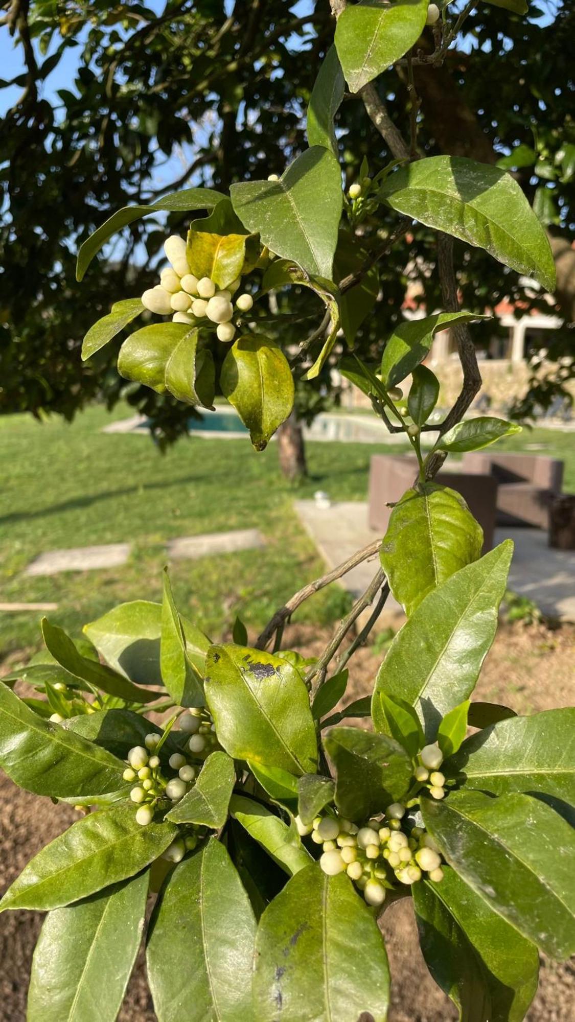 Quinta De Villasete Alpendurada Экстерьер фото